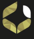 logo-bienes-connect