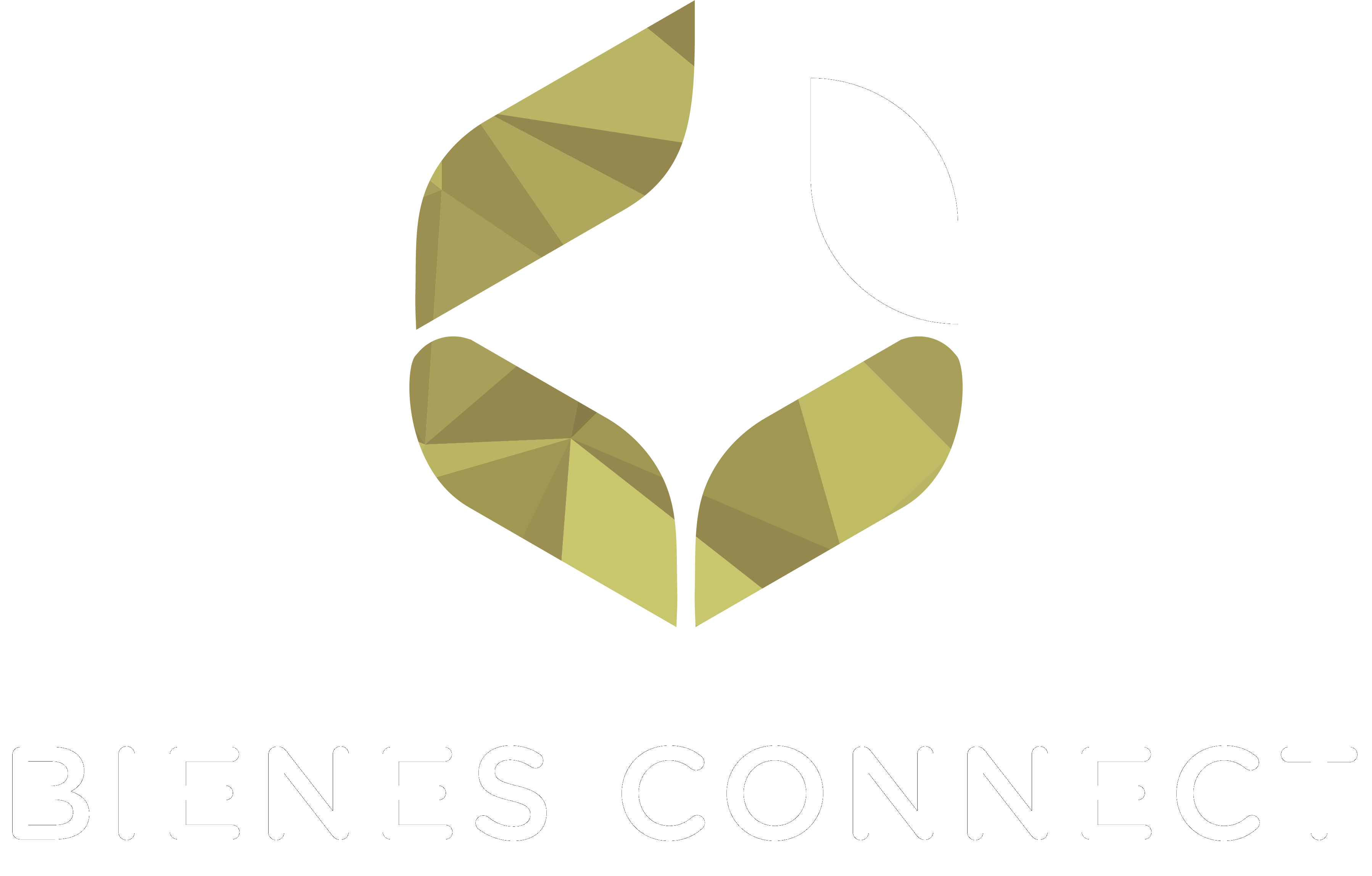 logo-bienes-connect